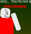 No Polysigma