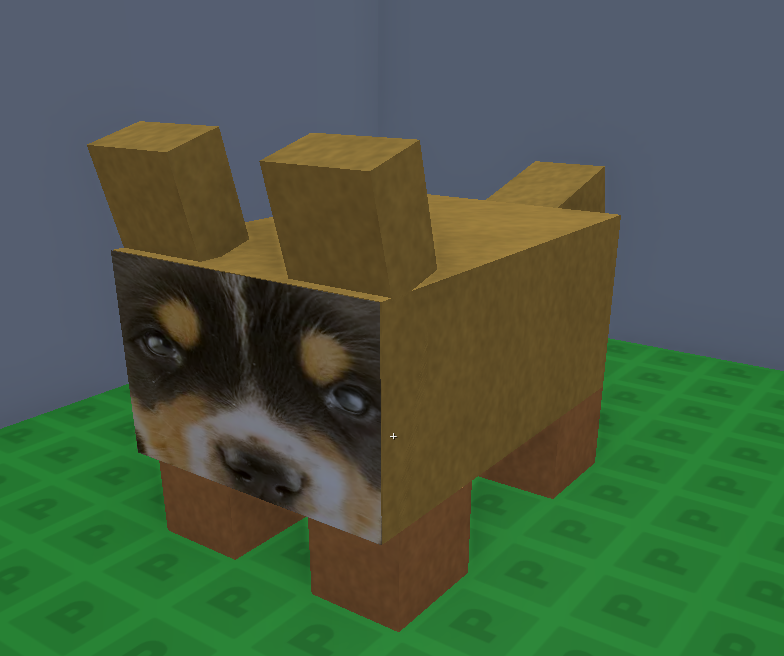 dog
