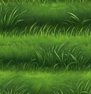 Grass 5.2