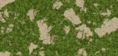 Grass f.01