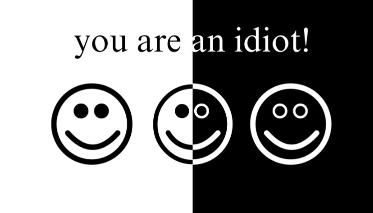 You are an Idiot Group